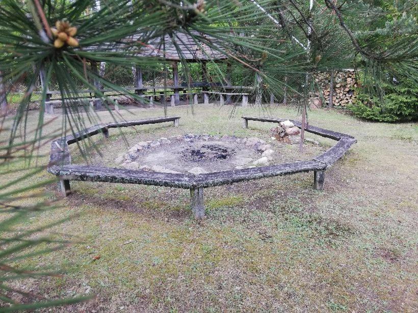 Agroturystyka "Lesne Zacisze Na Podlasiu" Tuczna Dış mekan fotoğraf